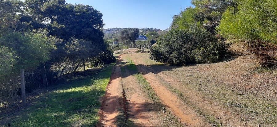 Commercial Property for Sale in Bergsig Western Cape
